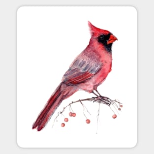 Red Cardinal Magnet